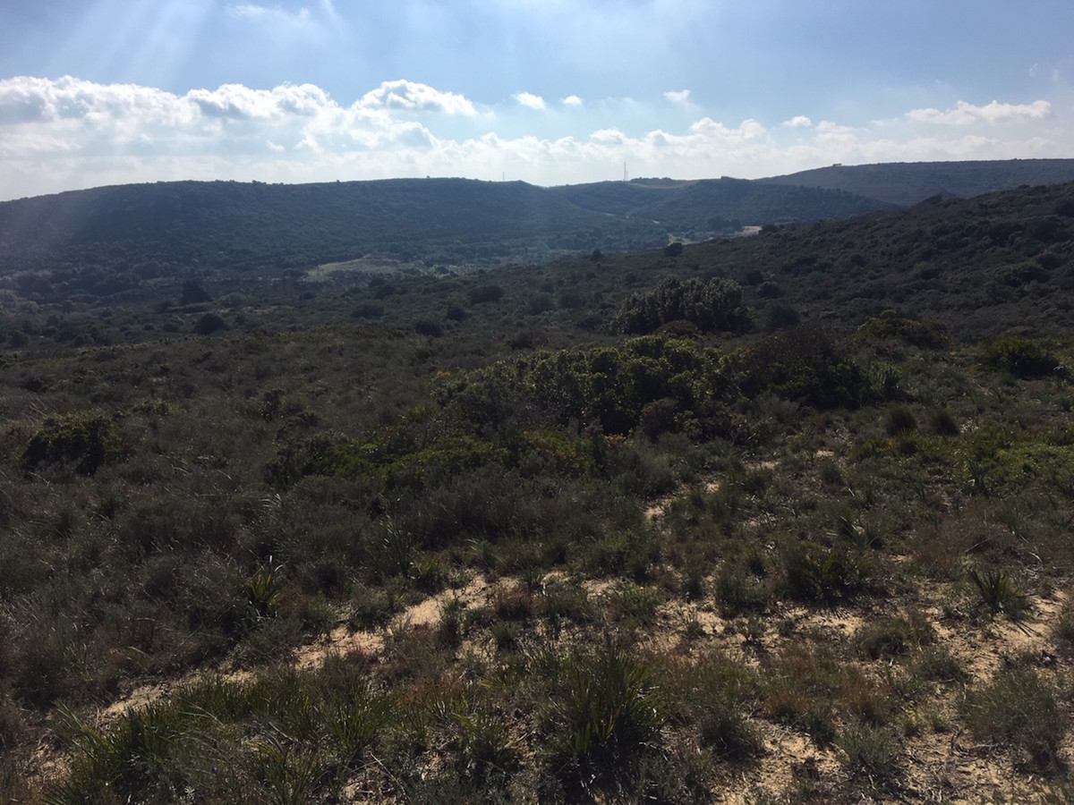 Property main view 28