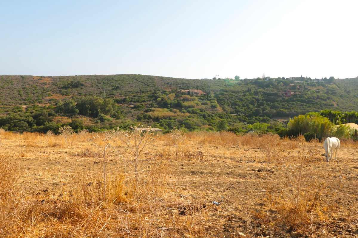 Property main view 7