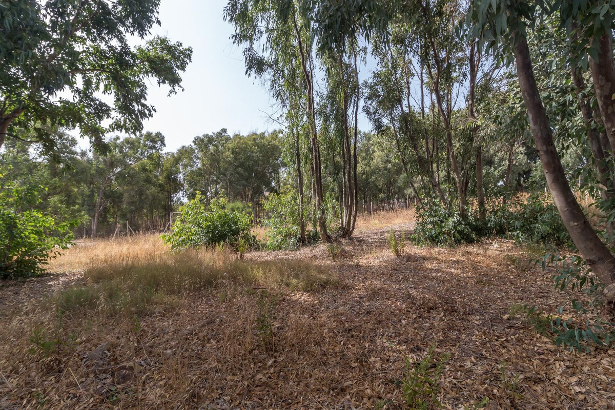 Percelen te koop in Manilva | 0 slaapkamers H5116234