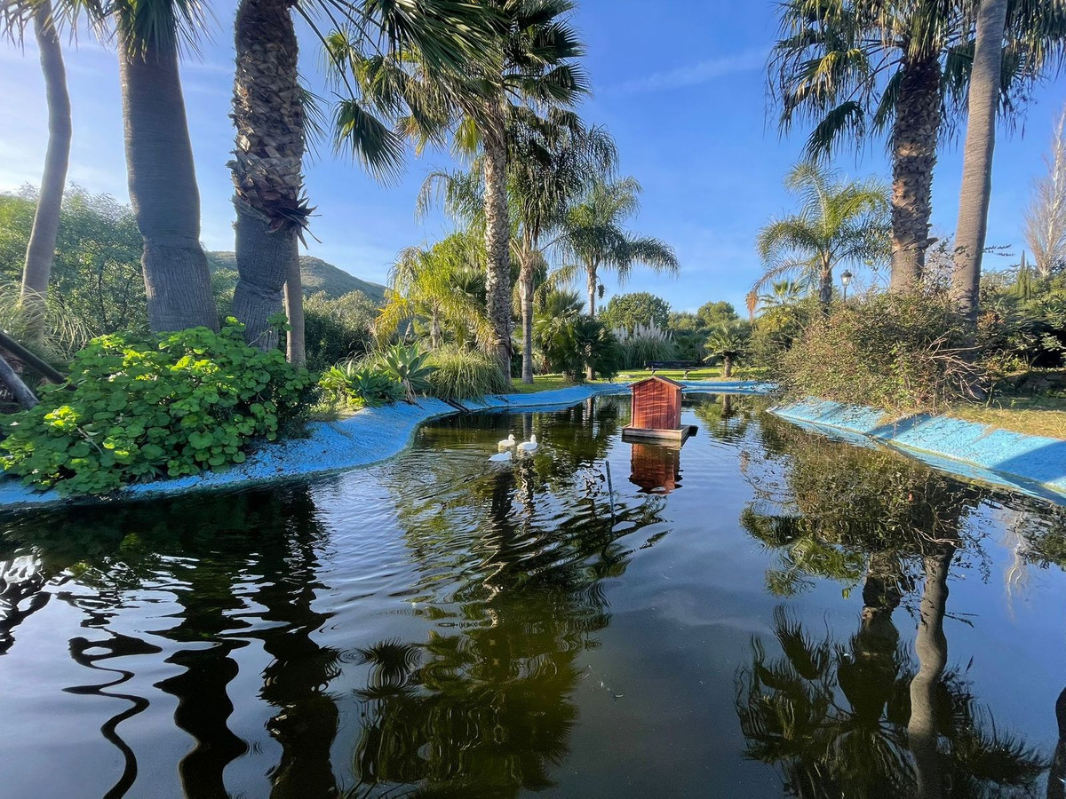 Property main view 62