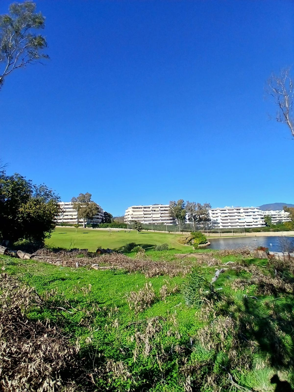 Property main view 11