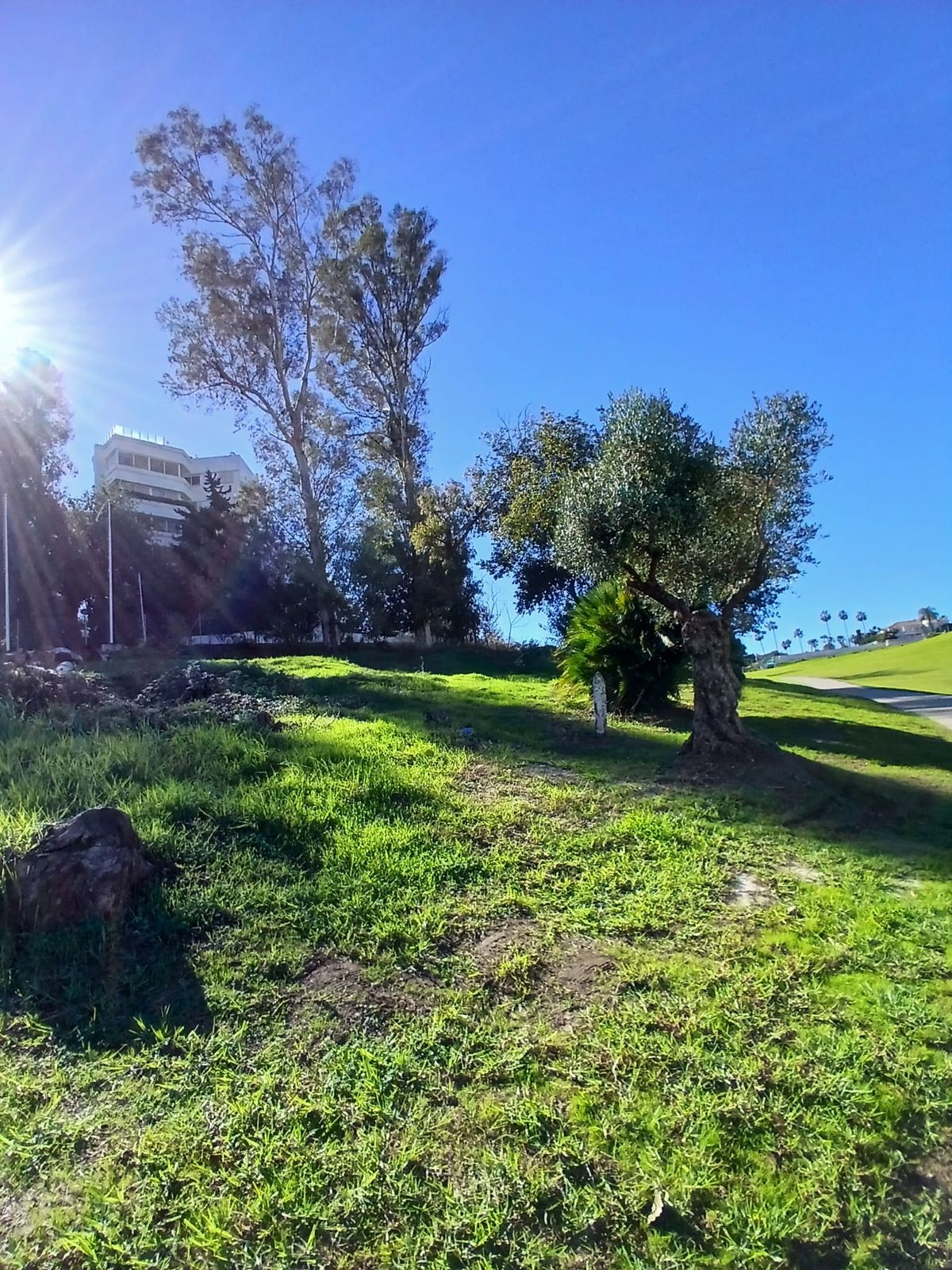 Property main view 2