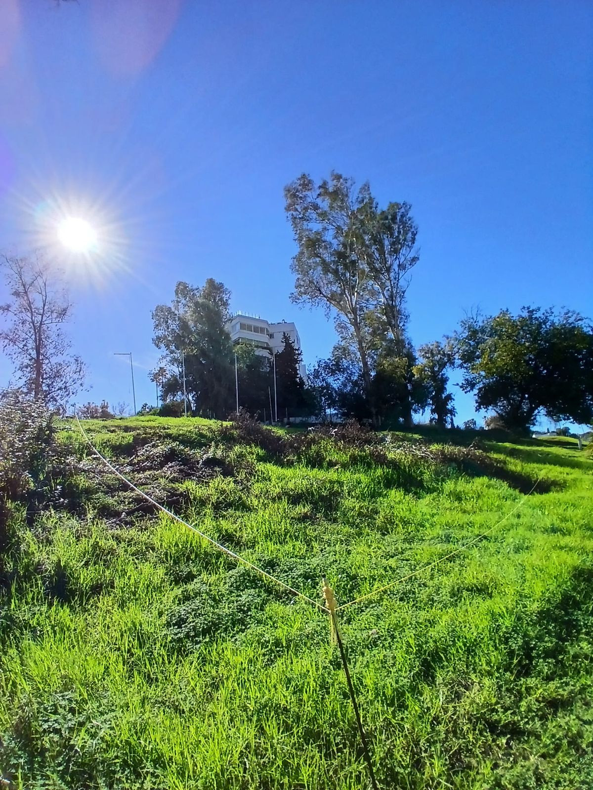 Property main view 4