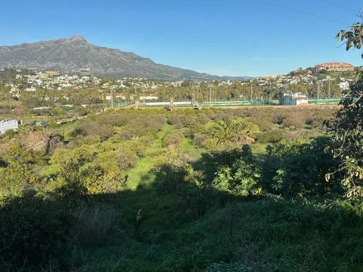 Property main view 2