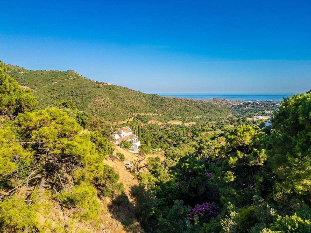 Property main view 3