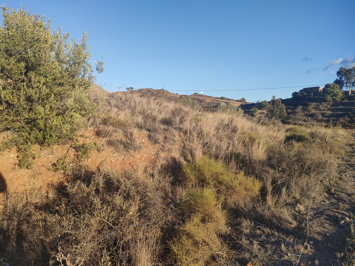 Property main view 3