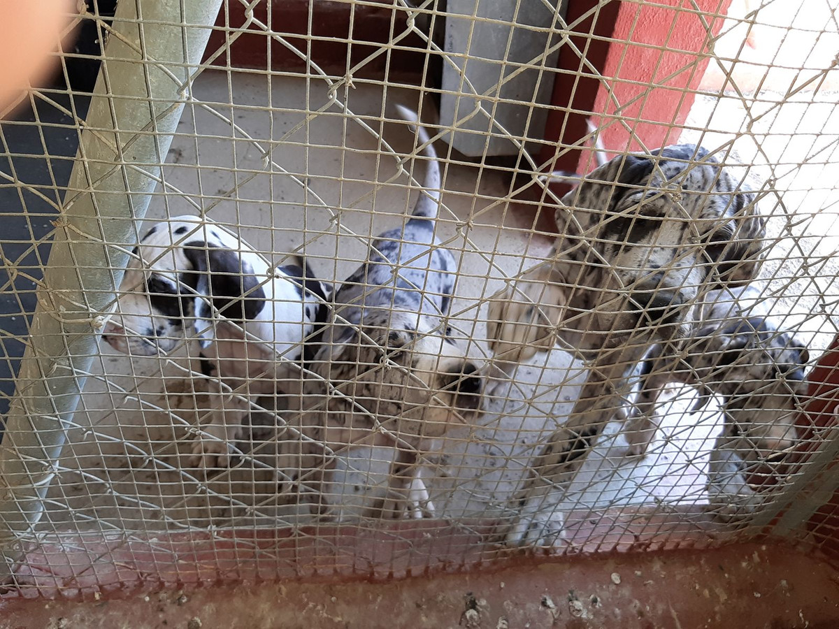 Property main view 25