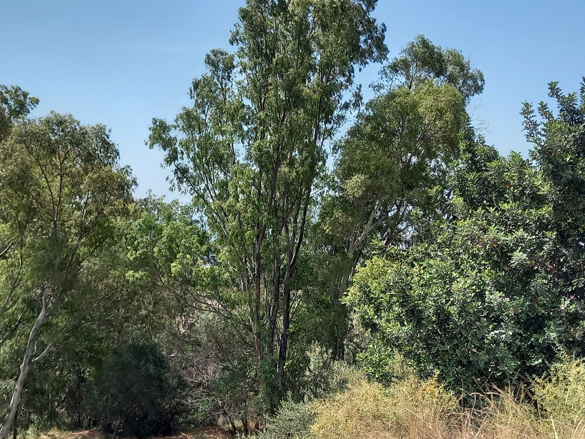 Property main view 11