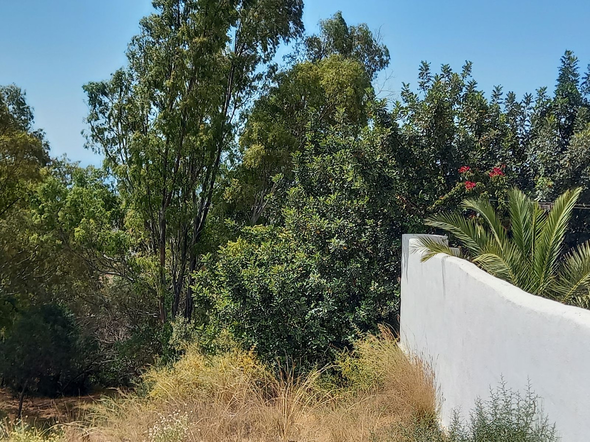 Property main view 13