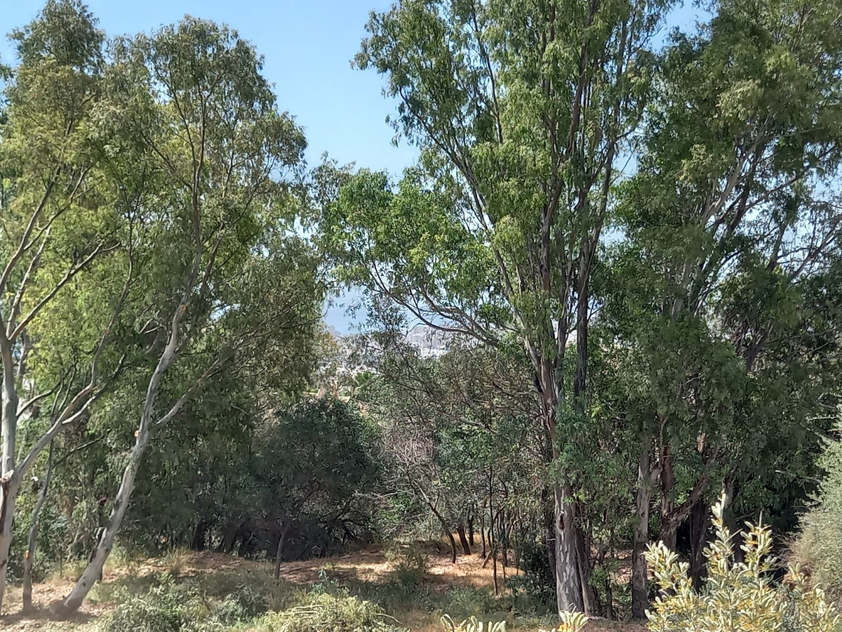 Property main view 15