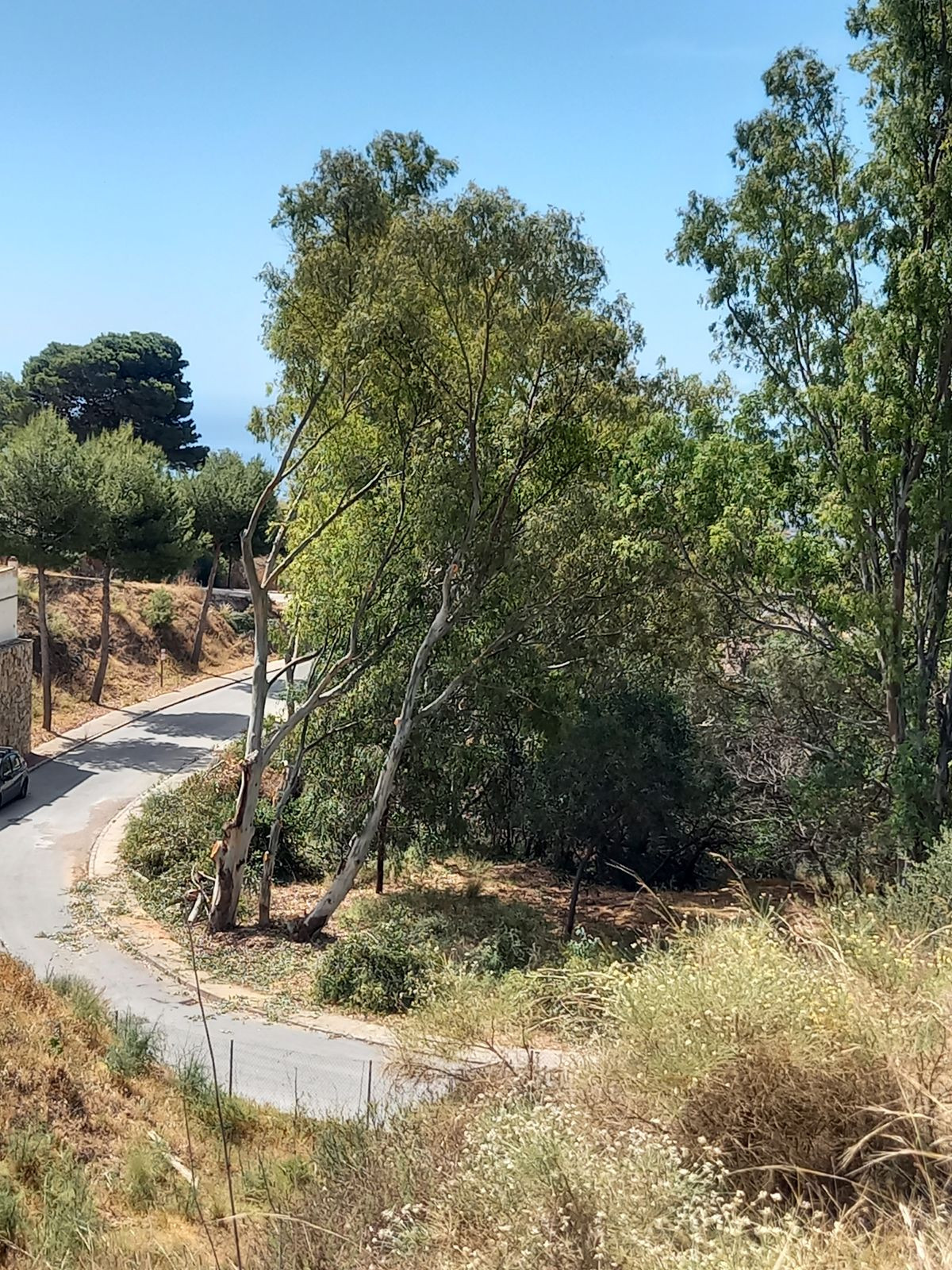 Property main view 7