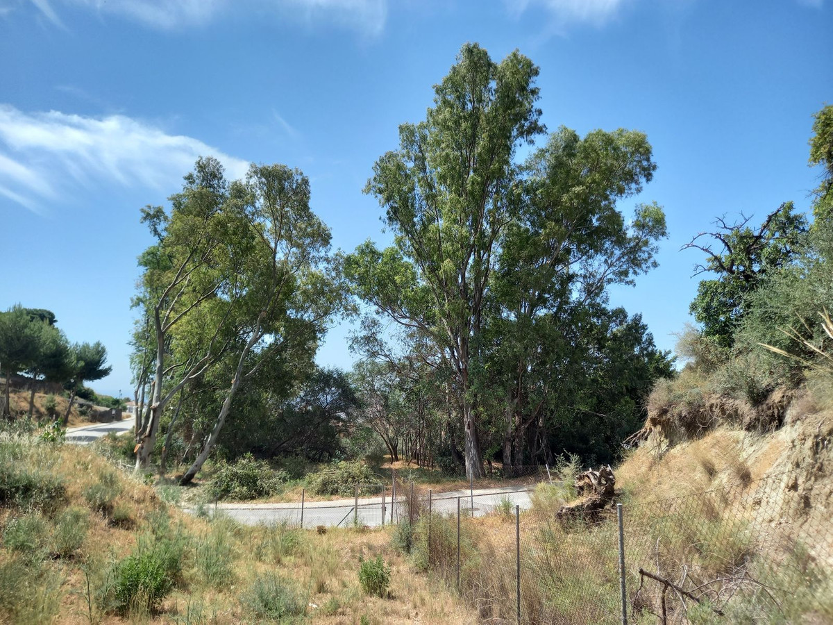 Property main view 8