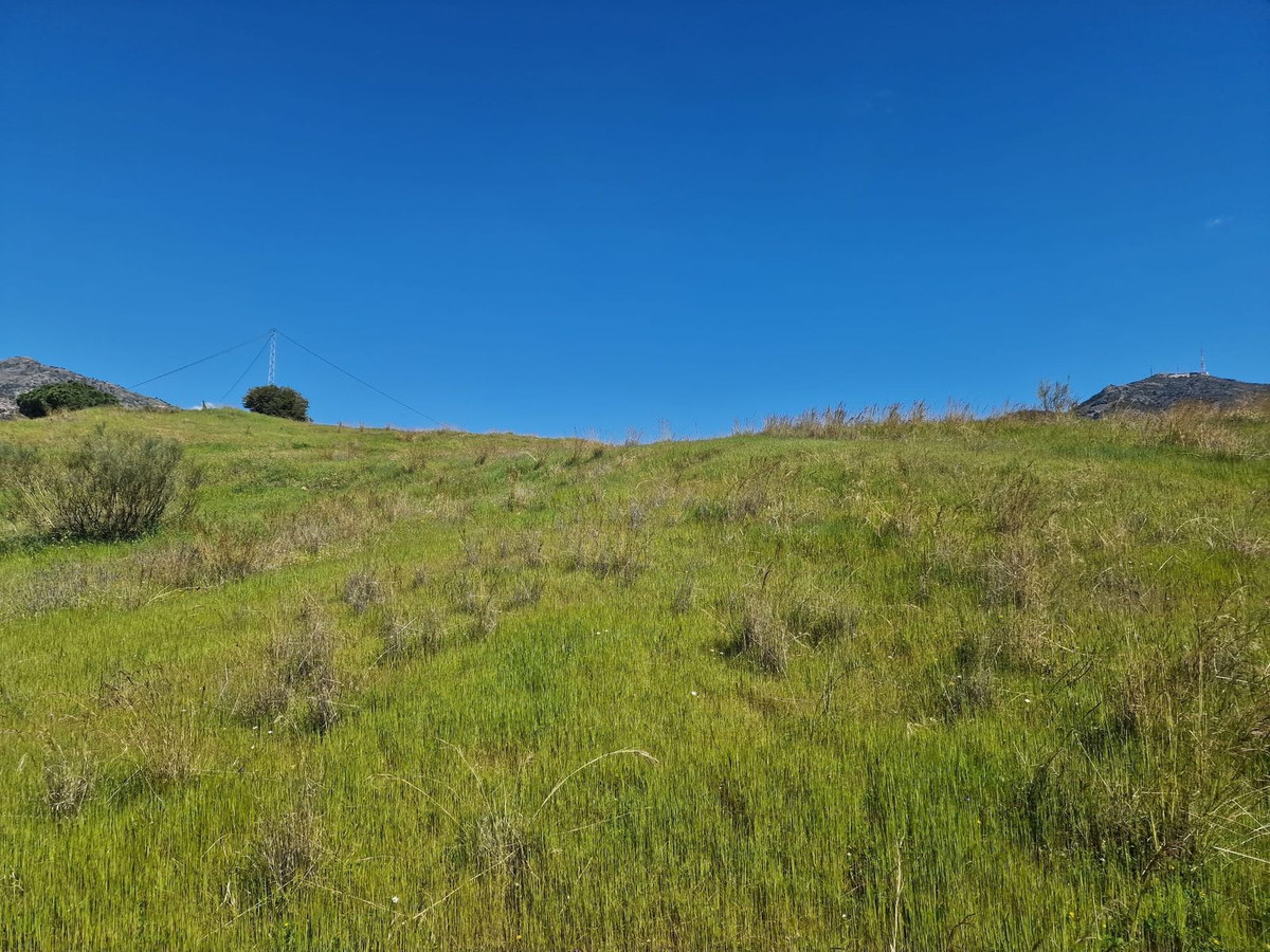 Property main view 11