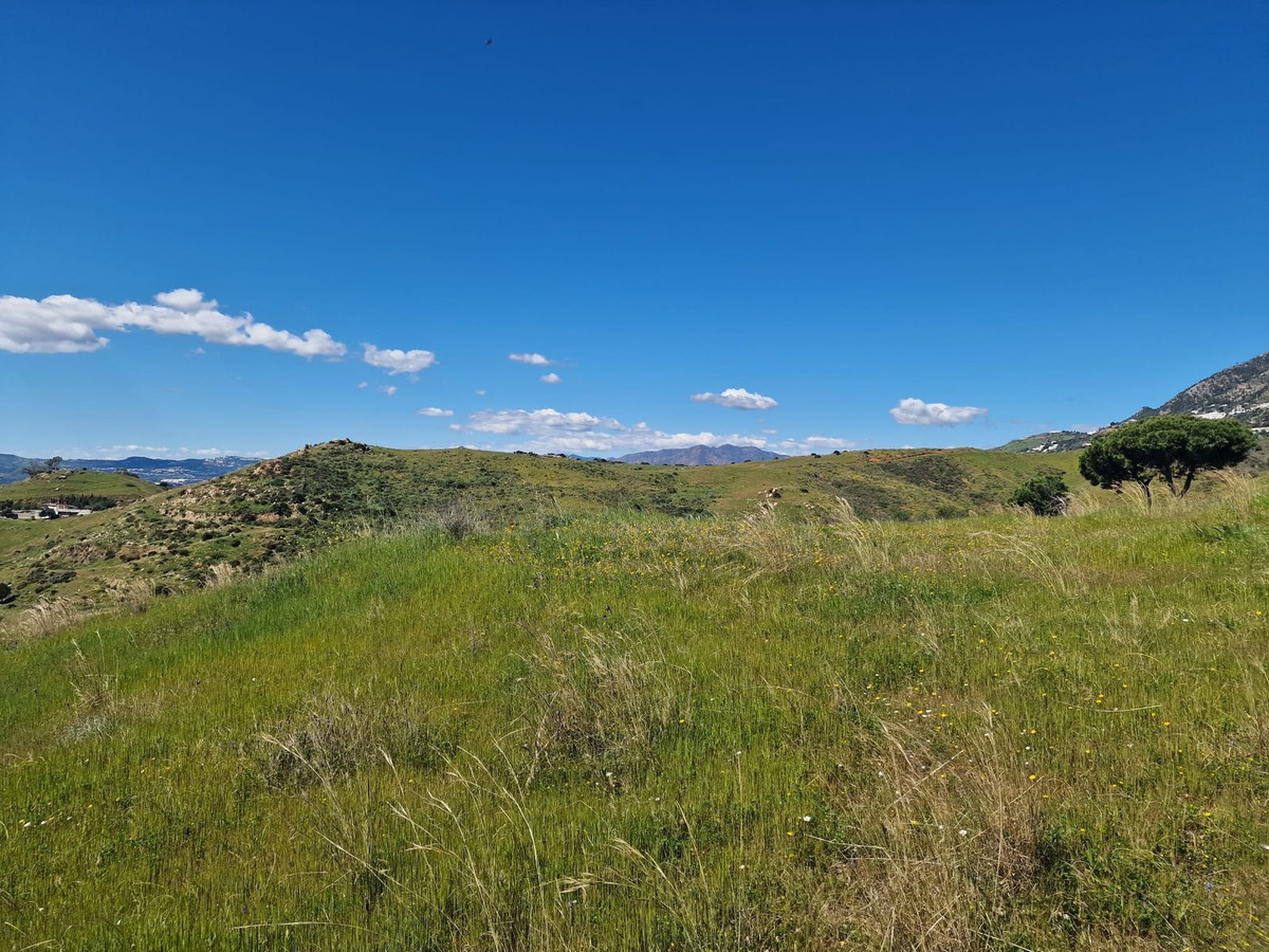 Property main view 14