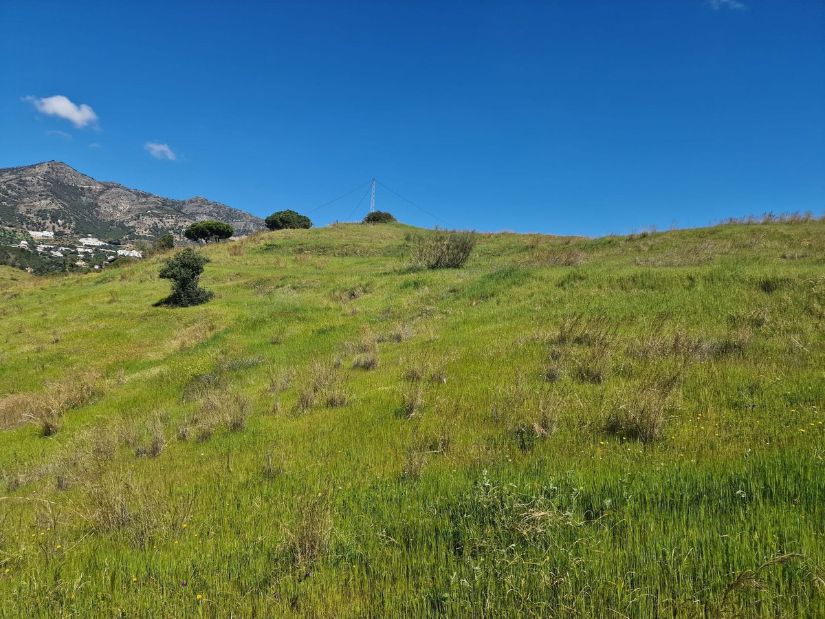 Property main view 18