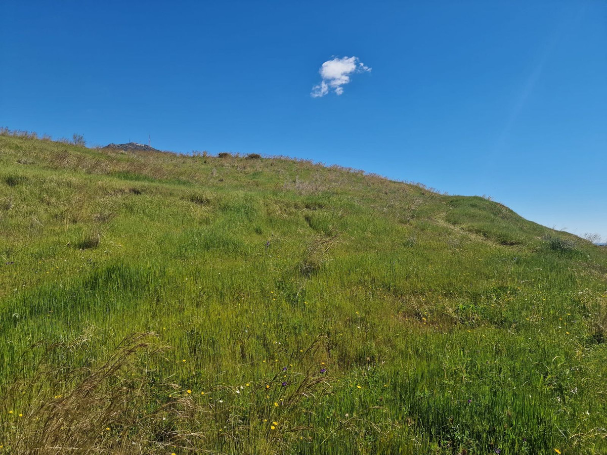 Property main view 19