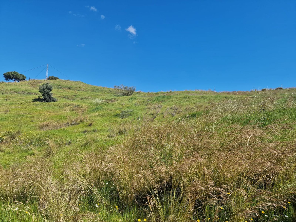 Property main view 20