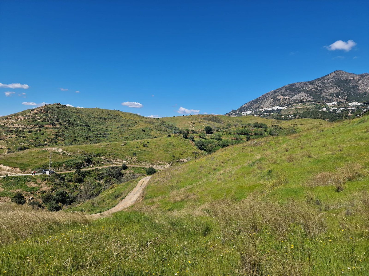 Property main view 21