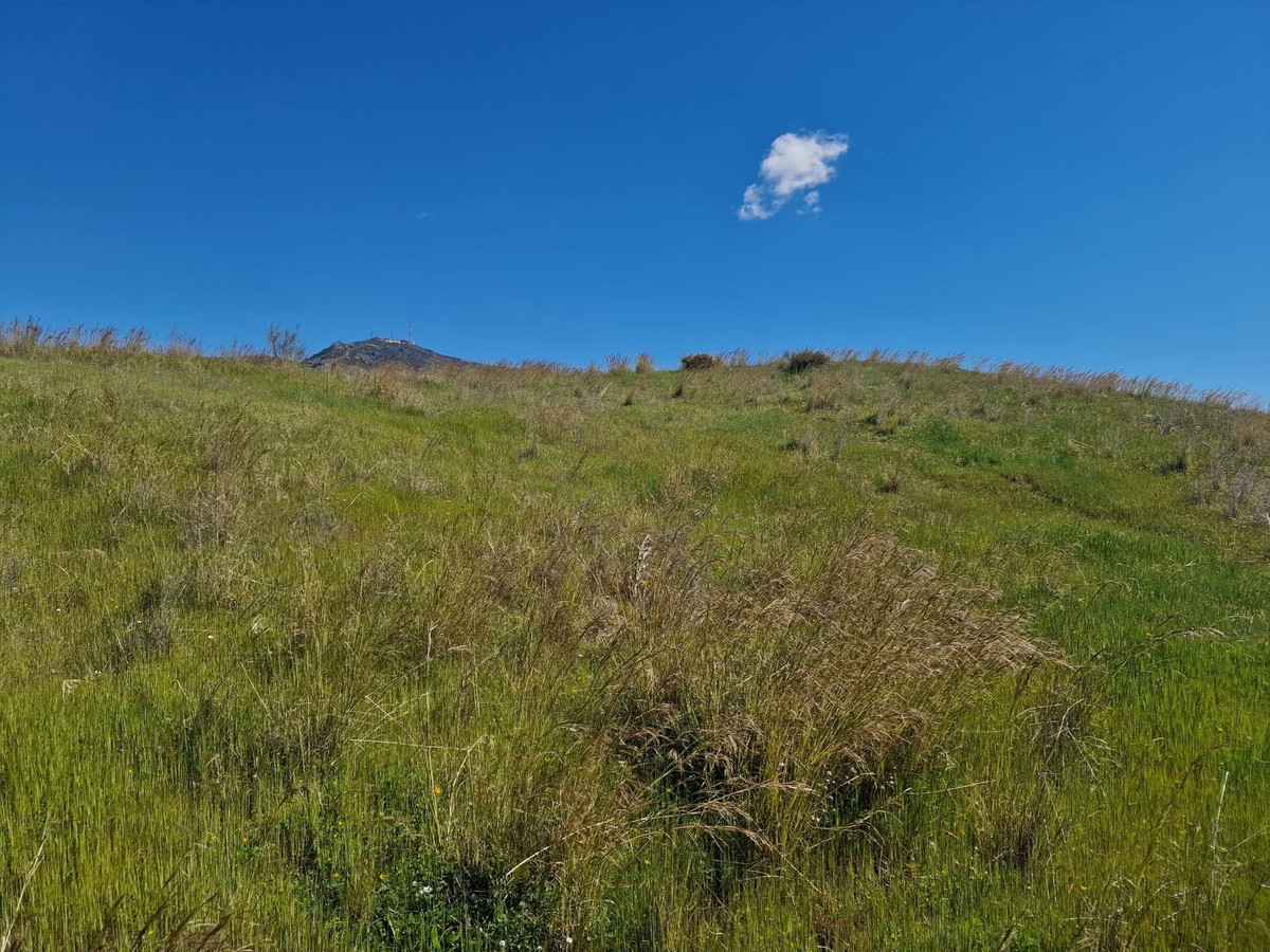 Property main view 24