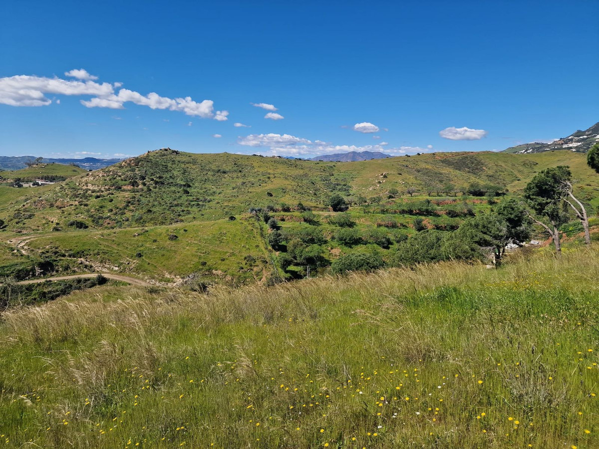 Property main view 25