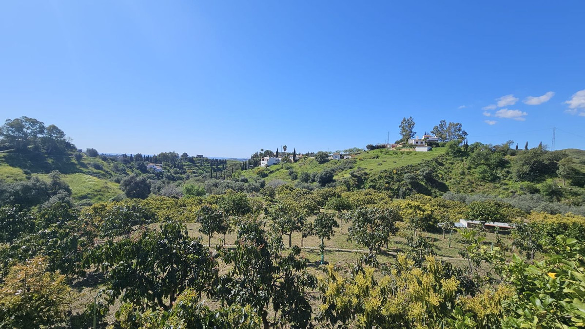 Property main view 11