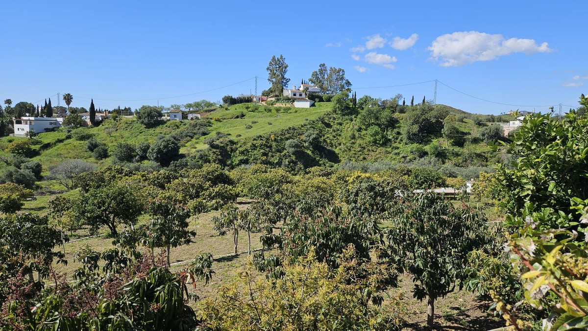 Property main view 14