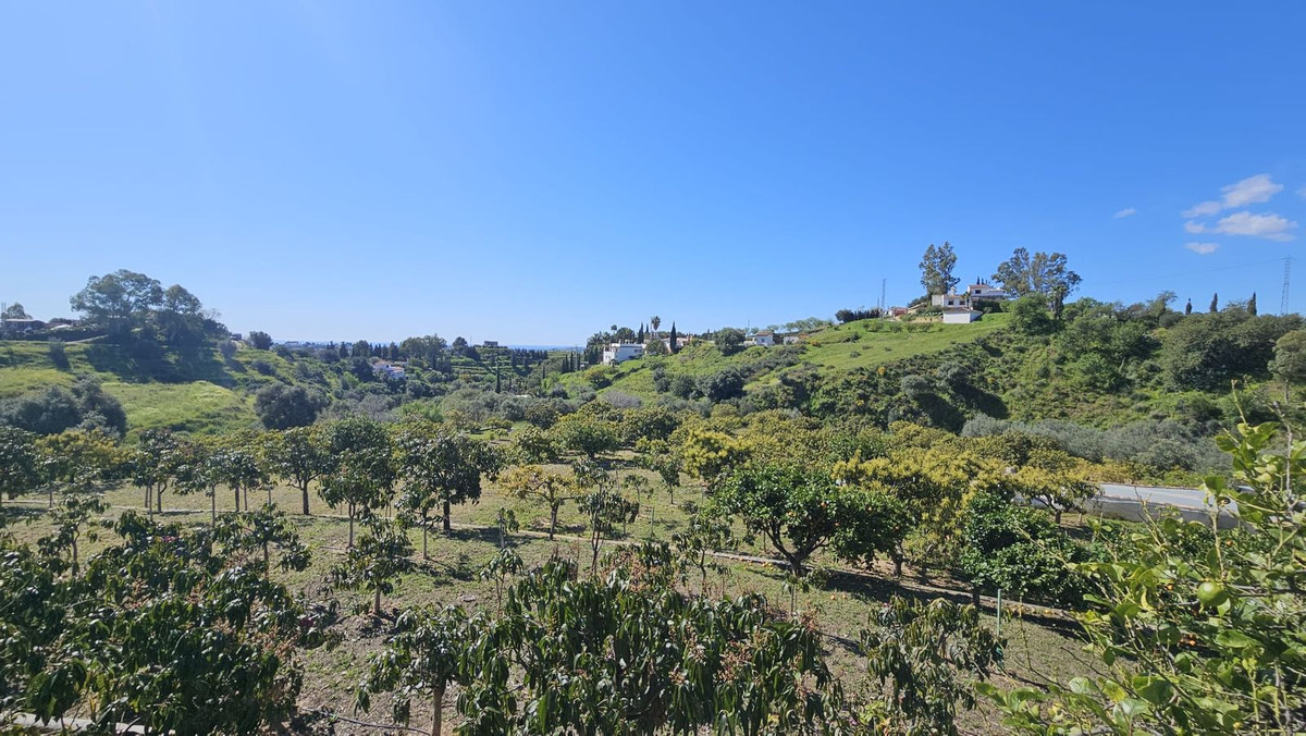 Property main view 9