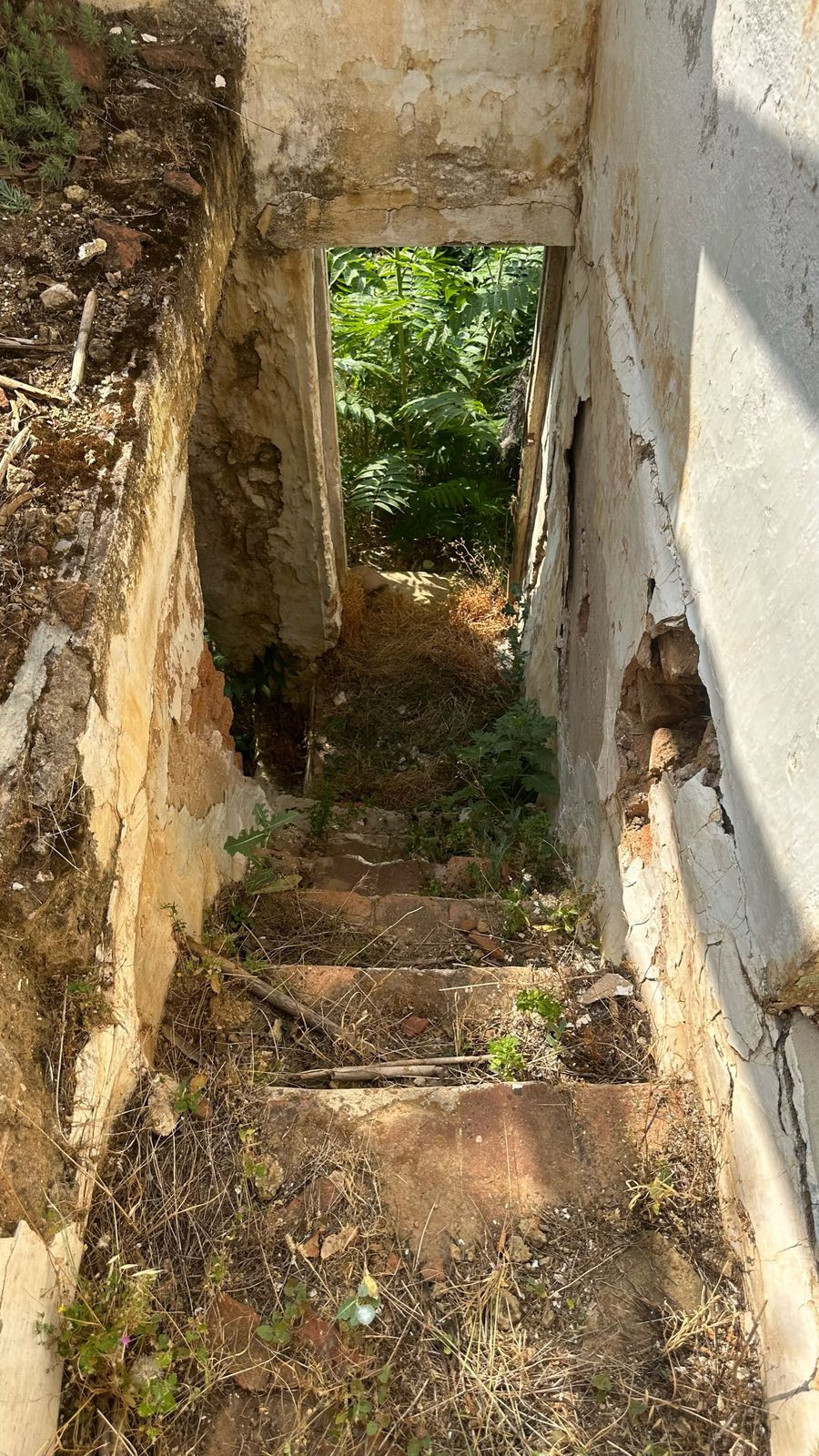 Property main view 14