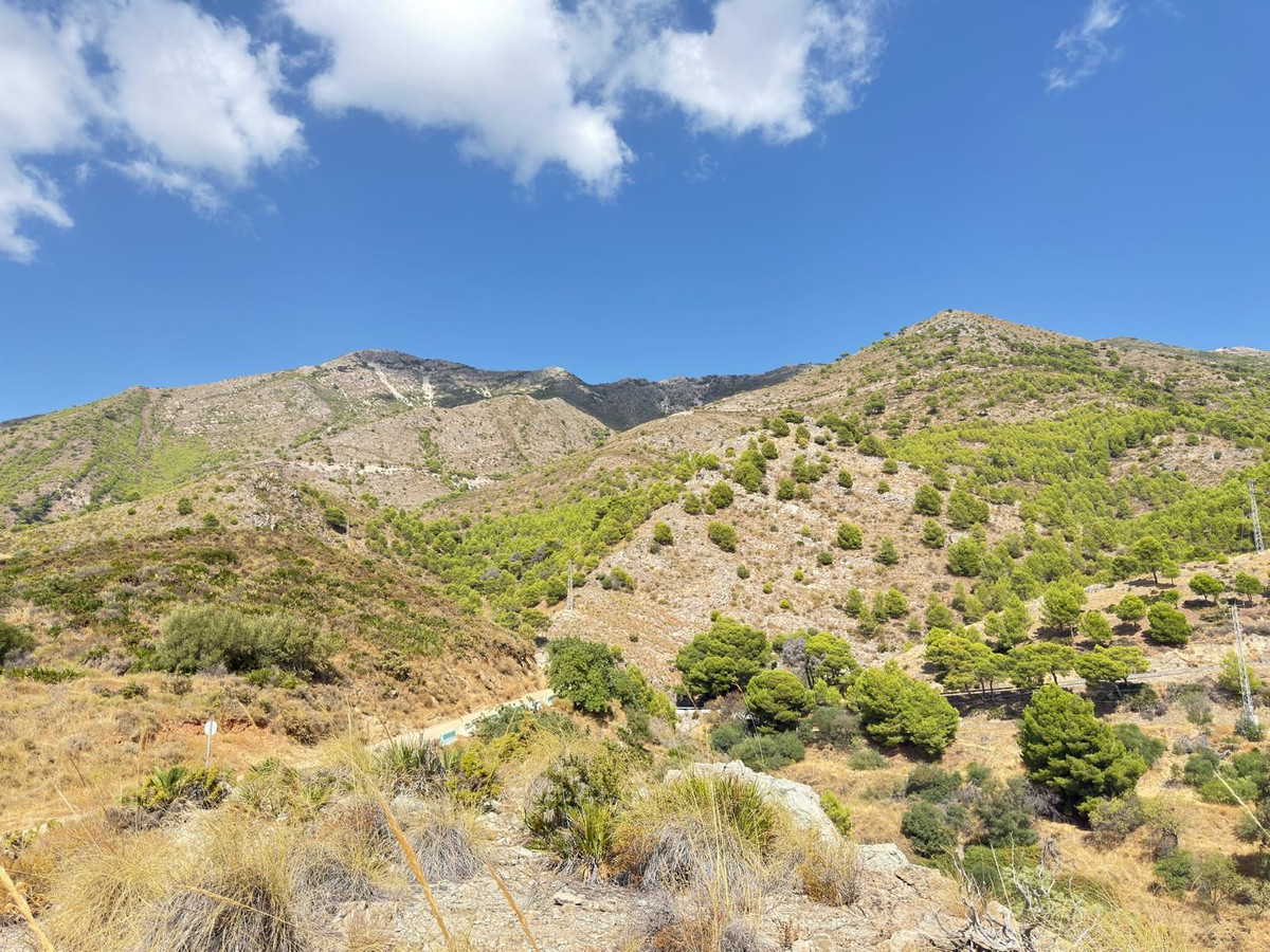 Property main view 15