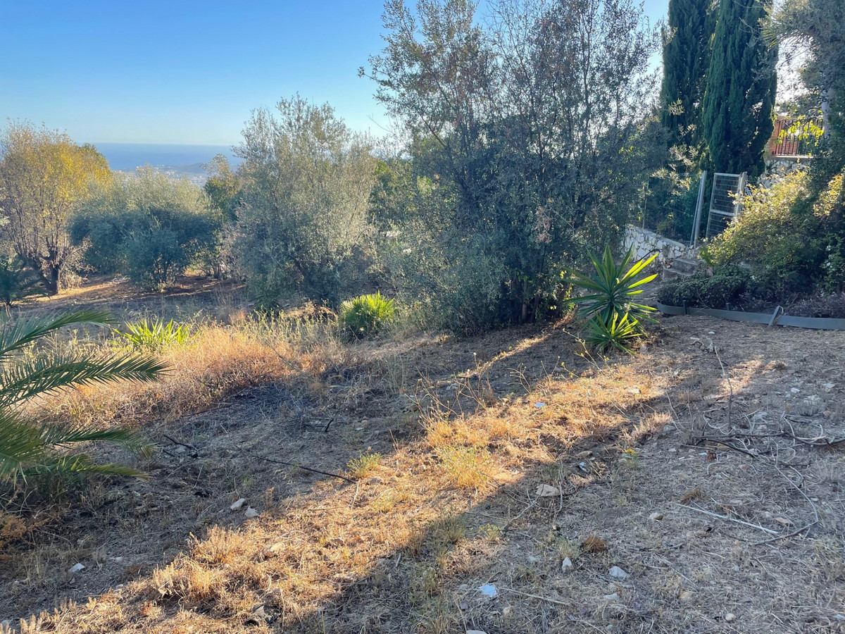 Property main view 2