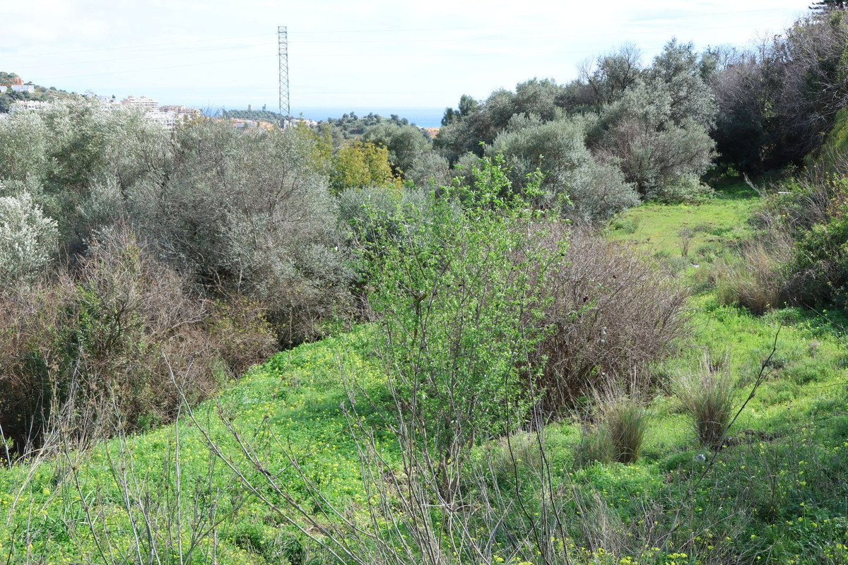 Property main view 8