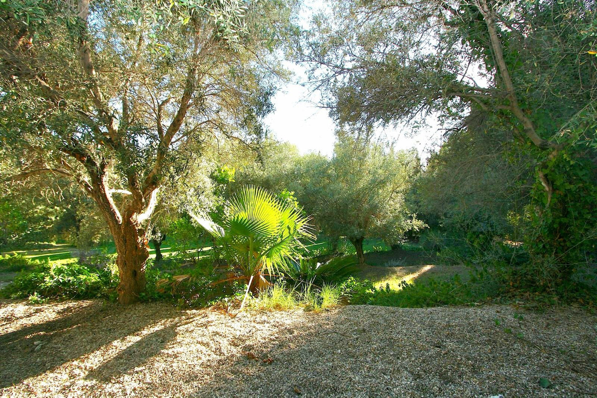 Percelen te koop in Mijas | 0 slaapkamers H5335312