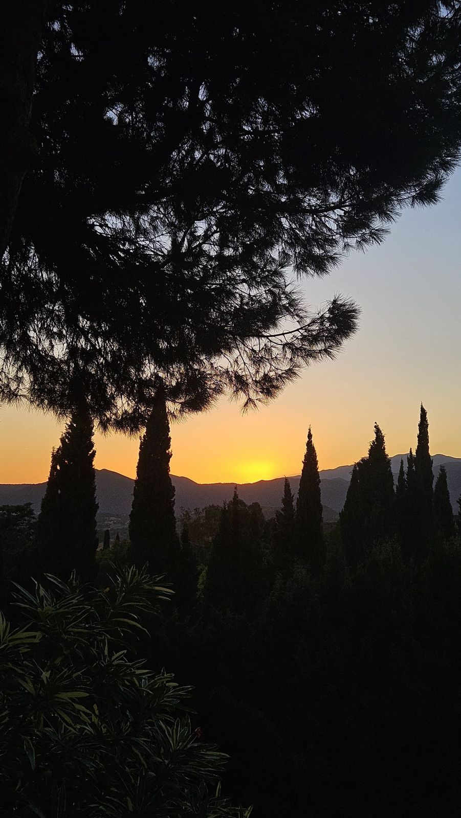 Percelen te koop in Mijas | 0 slaapkamers H5335312