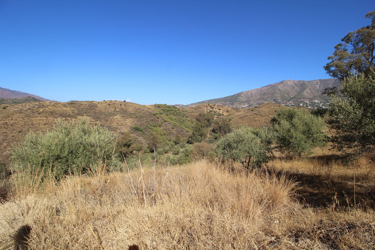 Property main view 23