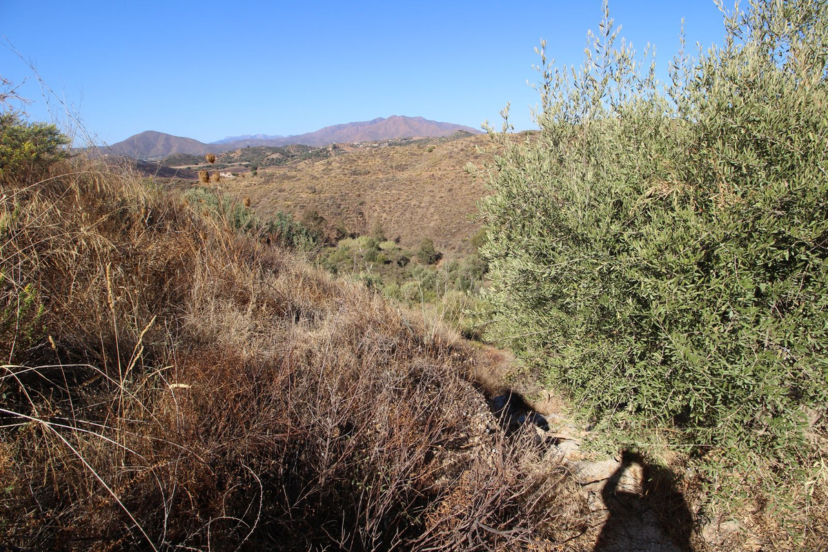 Property main view 24