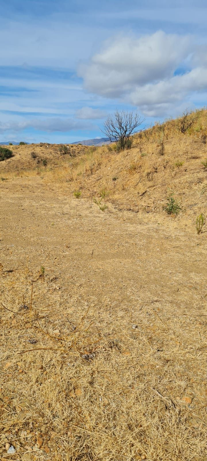 Percelen te koop in Mijas Golf | 0 slaapkamers H5265472