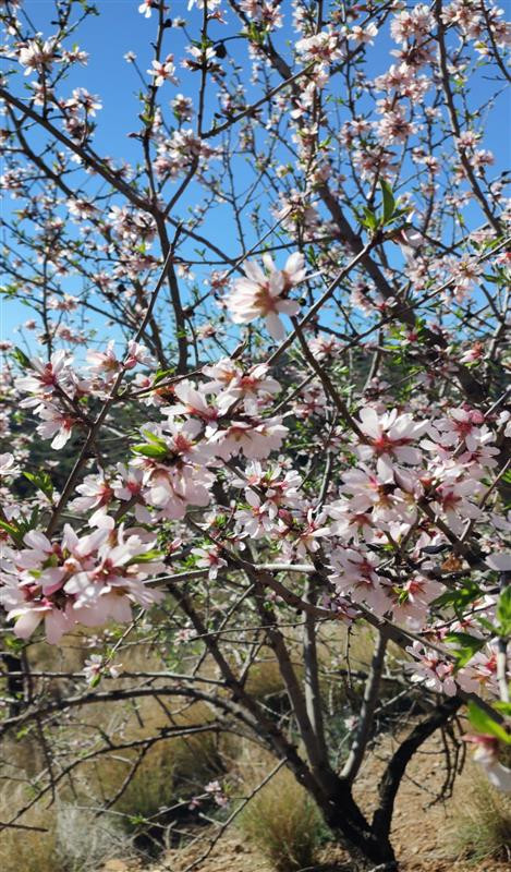 Property main view 13