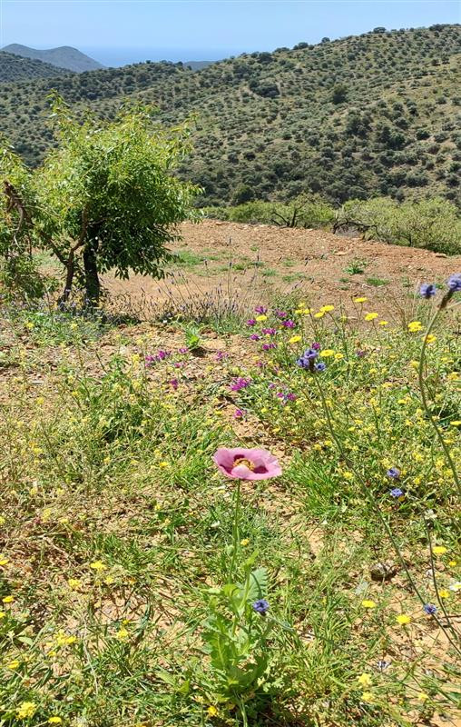 Property main view 16