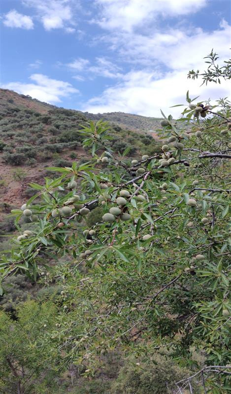 Property main view 17