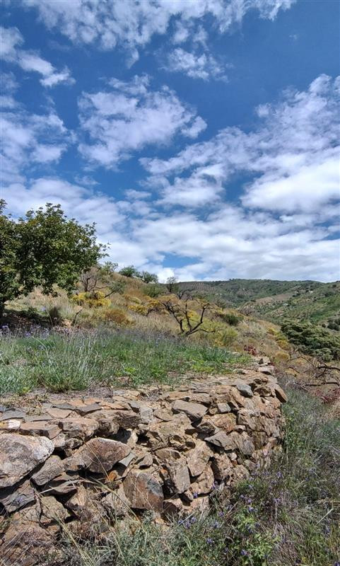 Property main view 7