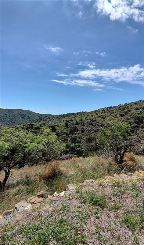 Property main view 8