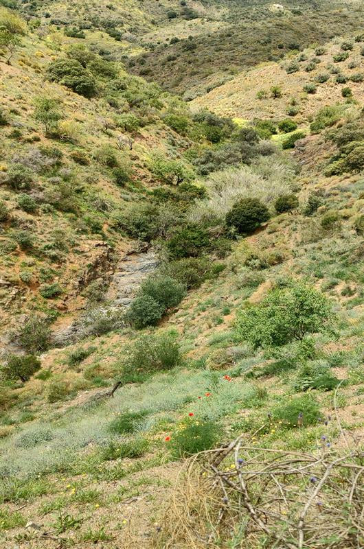 Property main view 9