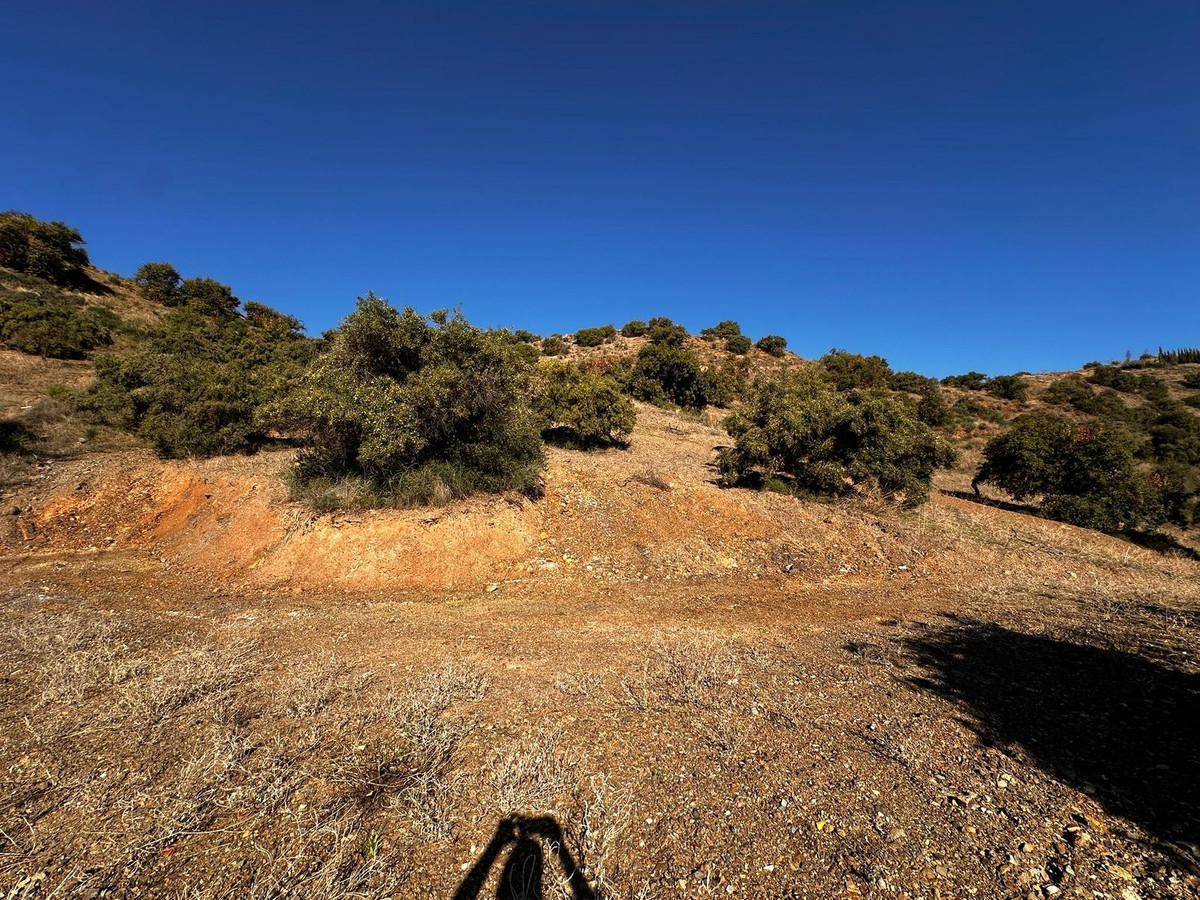 Property main view 6