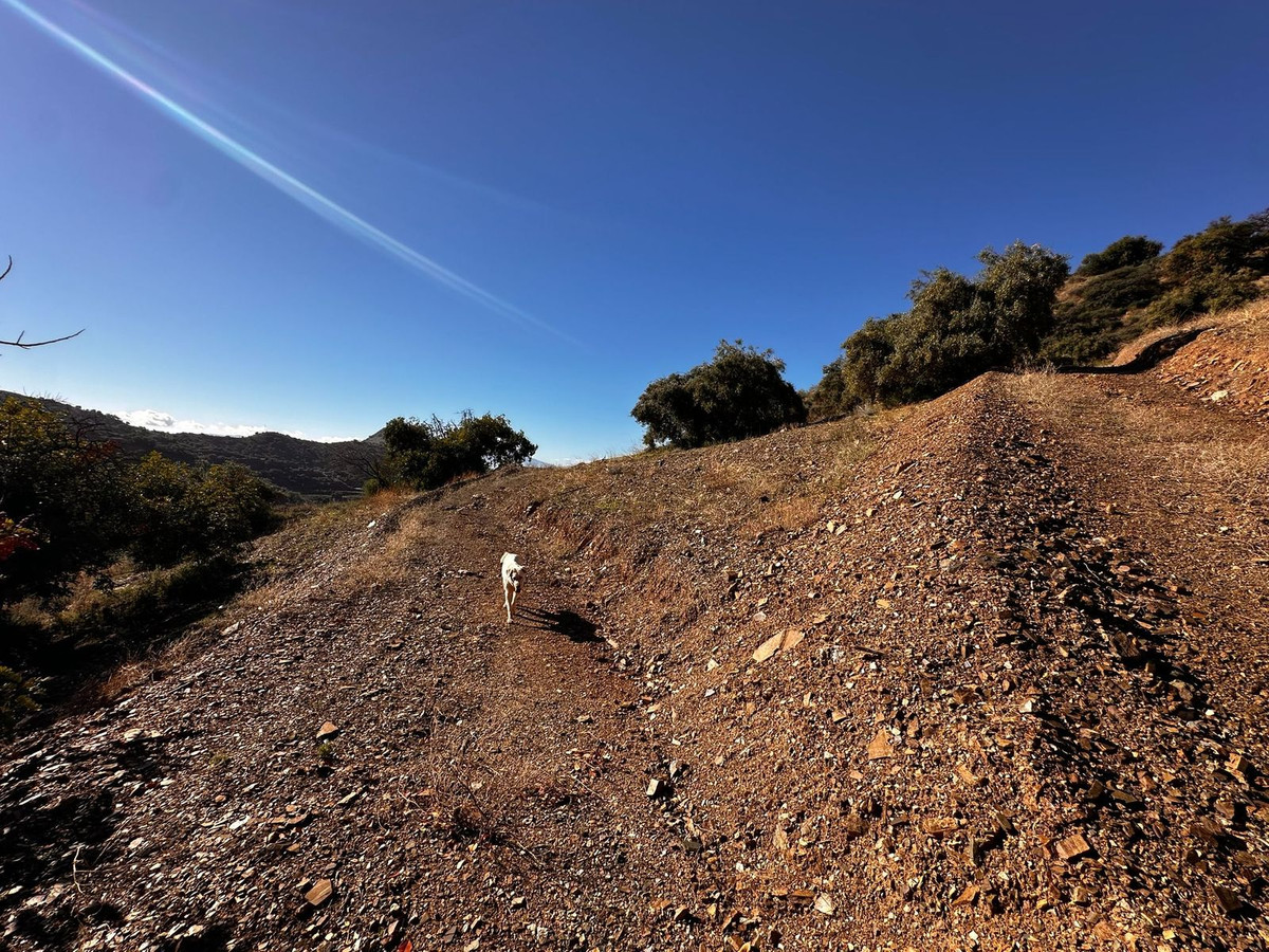 Property main view 8