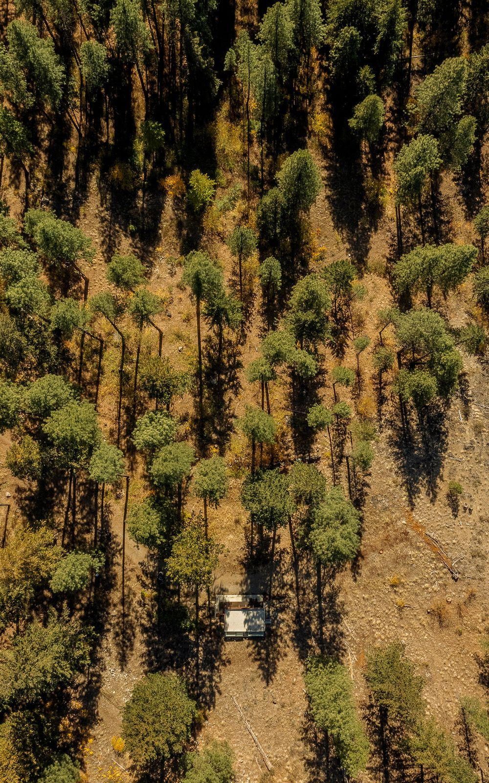 Grond te koop in Málaga | 0 slaapkamers H5243977