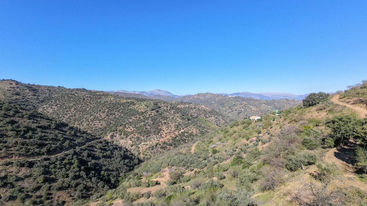 Property main view 11