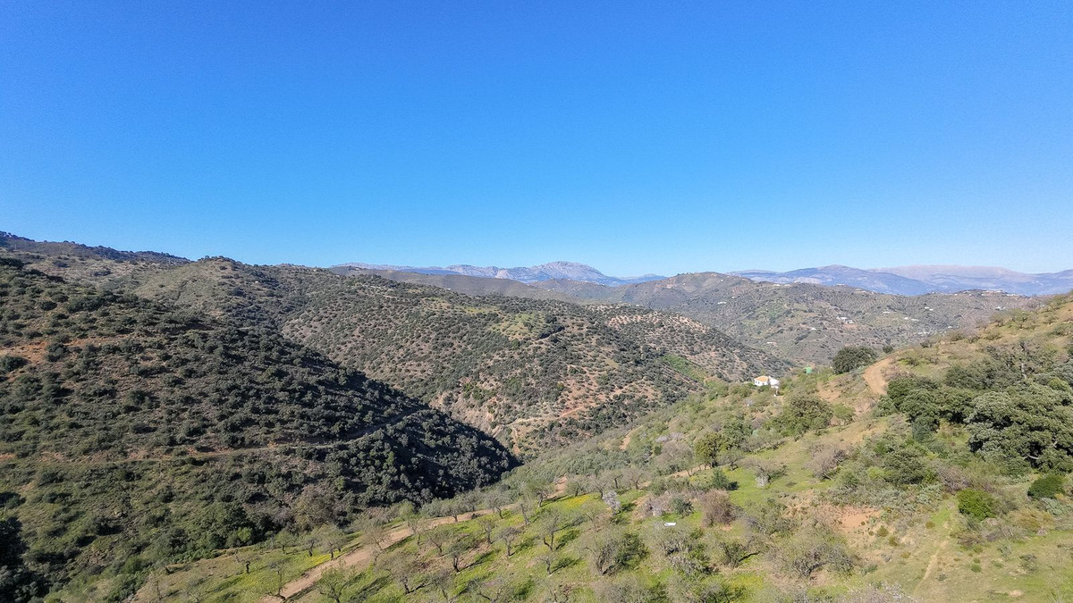 Property main view 5