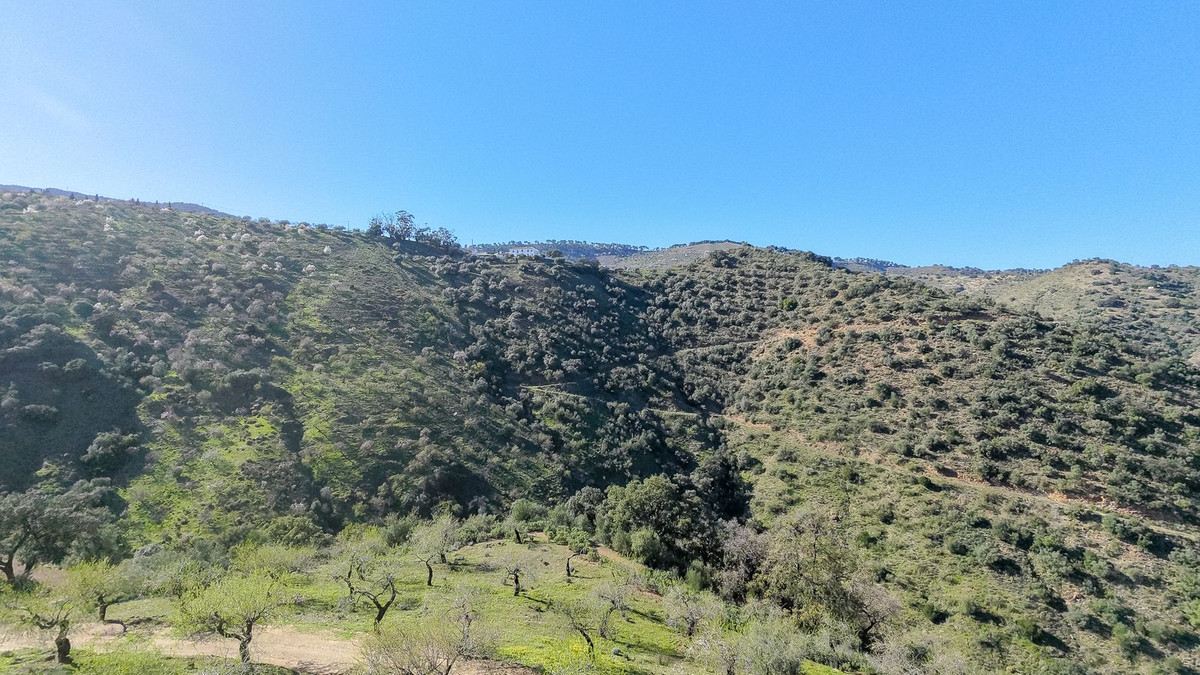 Property main view 7