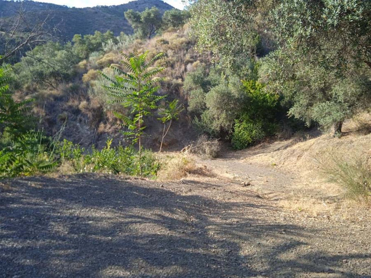 Property main view 5