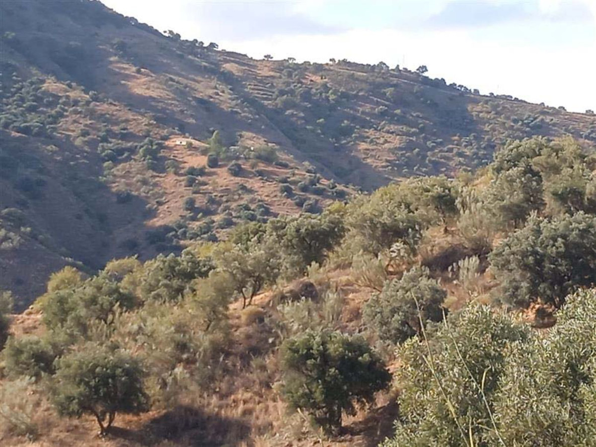 Property main view 6